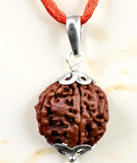 5mukhi silver capping  Rudraksha